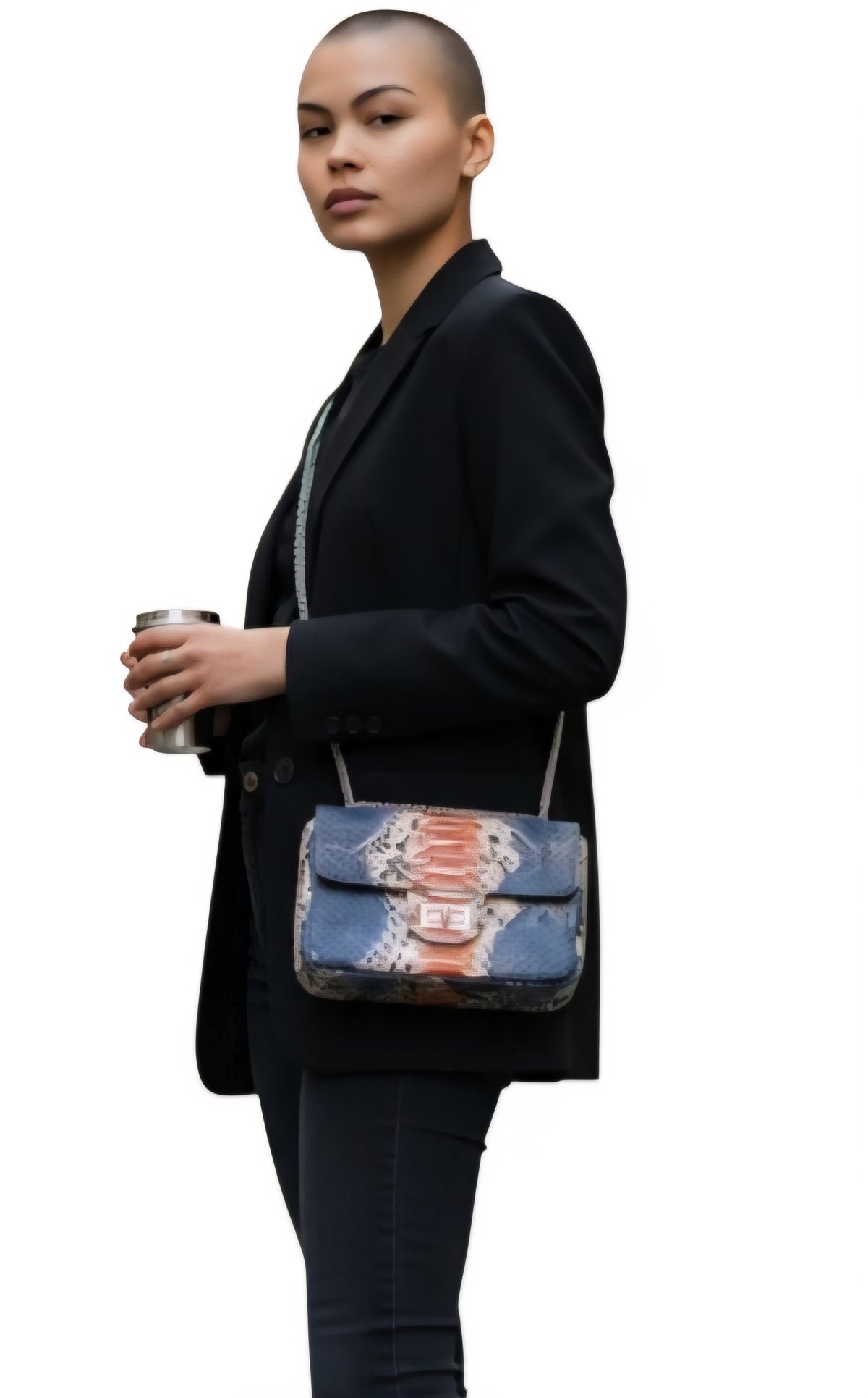 Chantelle Shoulder Bag/Cross Bag